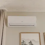 Cozy Modern